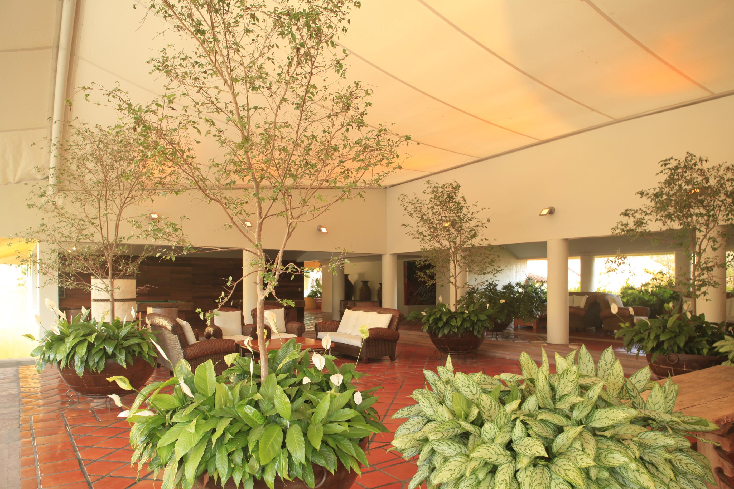 Hotel Real De Chapala Ajijic Esterno foto