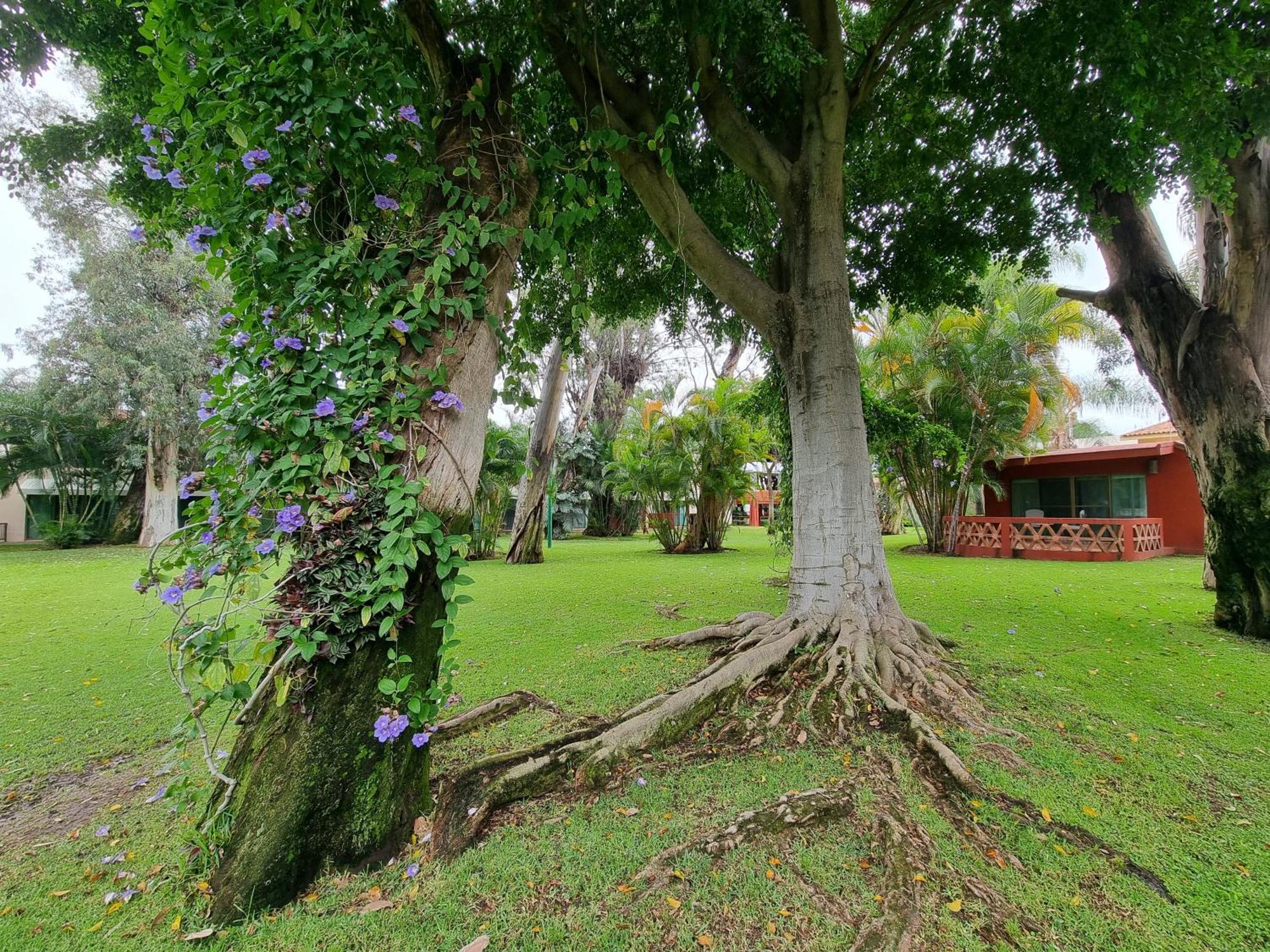Hotel Real De Chapala Ajijic Esterno foto